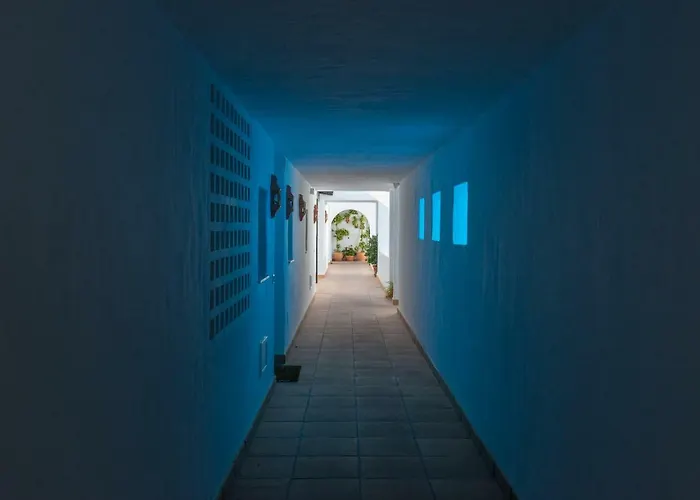 Luxury Duplex- 7 Minutes From The *