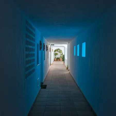 Luxury Duplex- 7 Minutes From The *